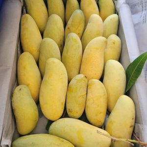 কাটিমন আম – ৪৪ কেজি