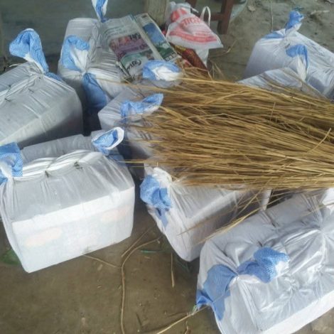 WhatsApp Image 2025-08-19 at 20.48.57_f6d5e9ed